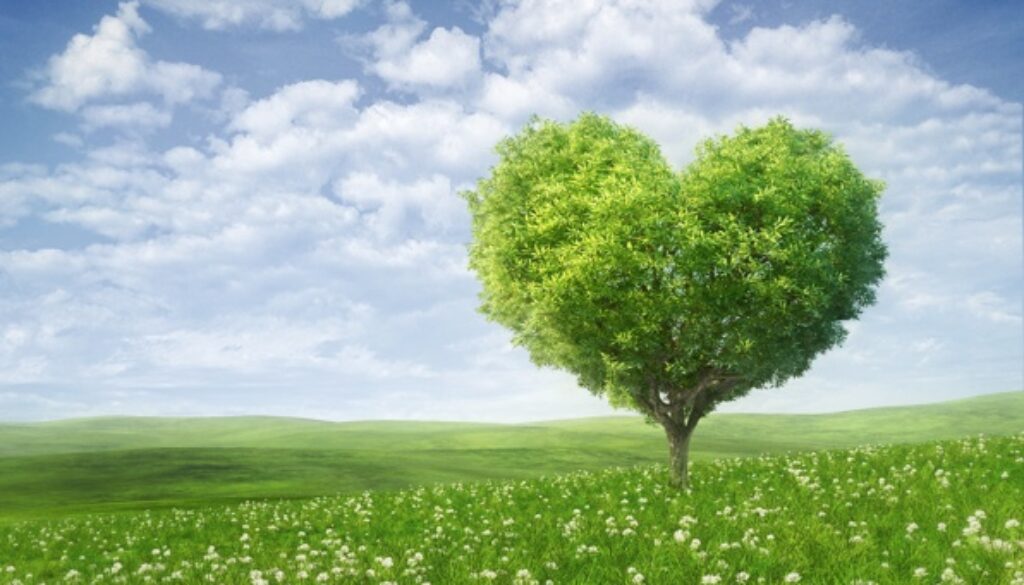 greening_efa