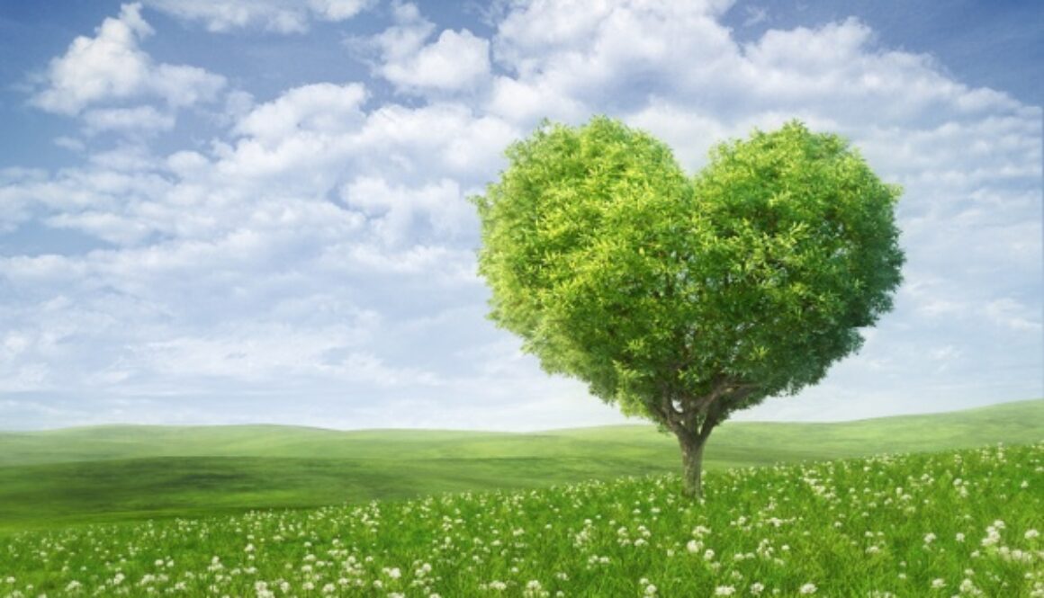 greening_efa greening_efa