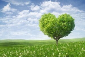 greening_efa