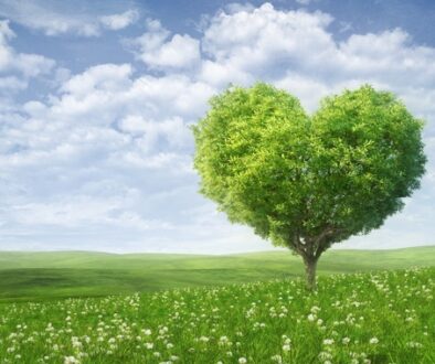 greening_efa