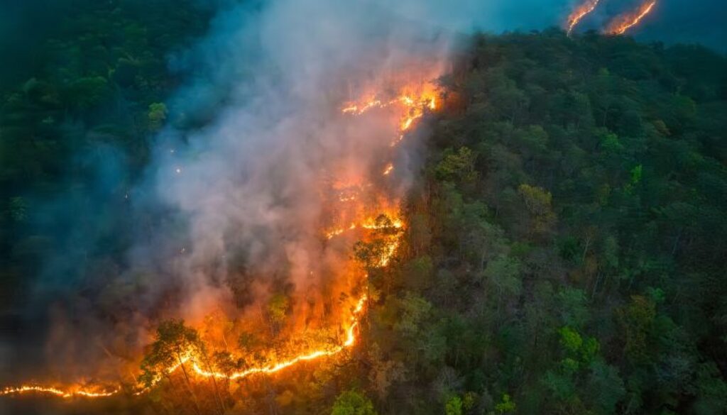 Wildfires,Release,Carbon,Dioxide,(co2),Emissions,And,Other,Greenhouse,Gases