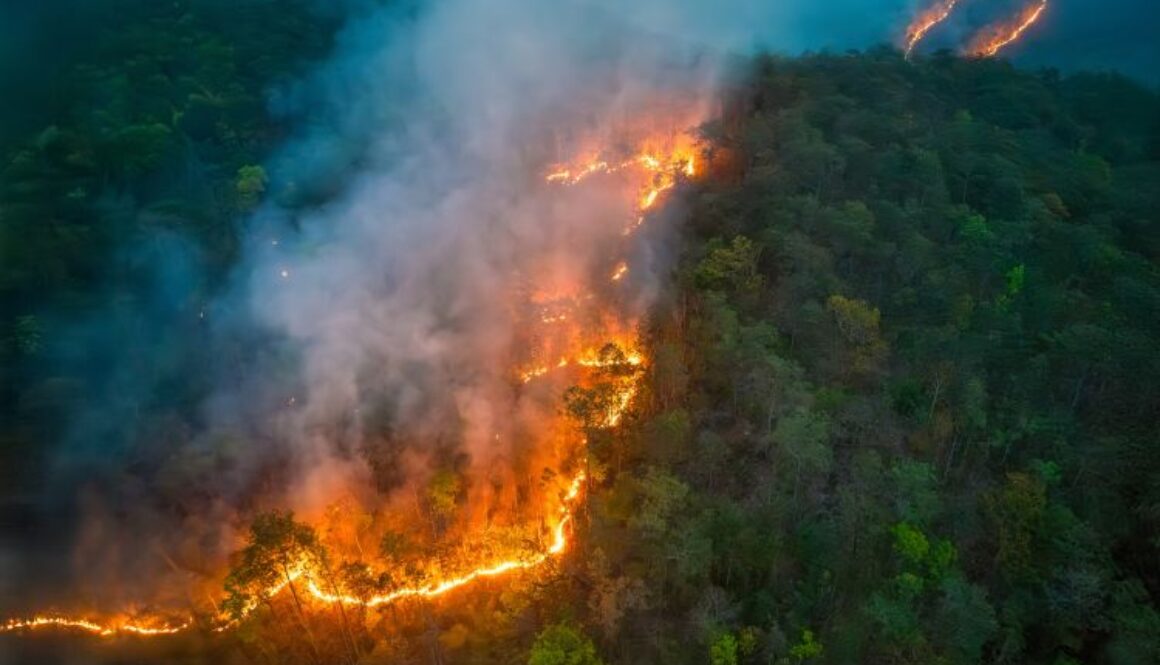 Wildfires,Release,Carbon,Dioxide,(co2),Emissions,And,Other,Greenhouse,Gases
