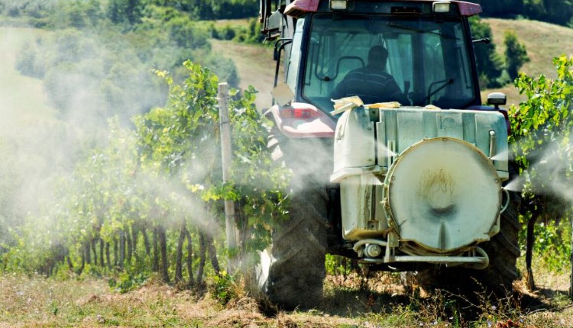 Tractor,Spraying,Weed,Killer,In,A,Vineyard