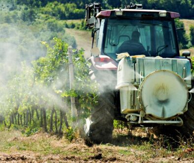 Tractor,Spraying,Weed,Killer,In,A,Vineyard