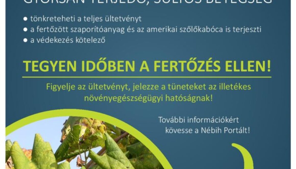 veszelyben_a_szoloultetvenyek
